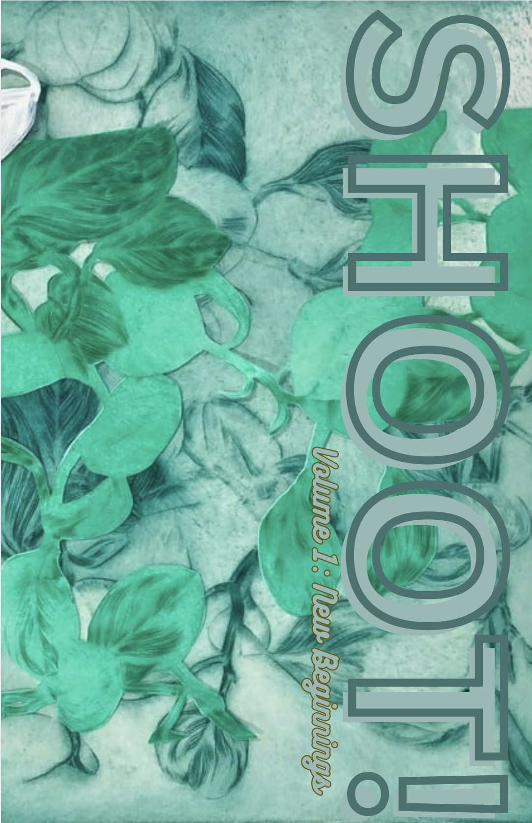 Shoot! Volume 1: New Beginnings